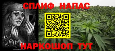 гашик Уссурийск