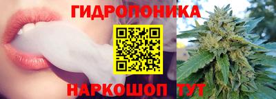 индика Чебоксары