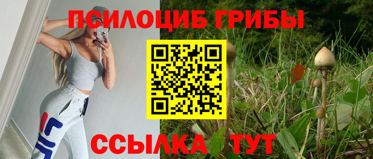 Ачинск  наркошоп  Вход с VPN  Псилоцибиновые грибы MAGIC MUSHROOMS 