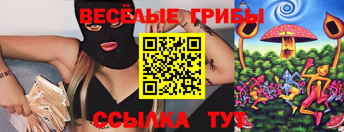 Галлюциногенные грибы Cubensis Ачинск